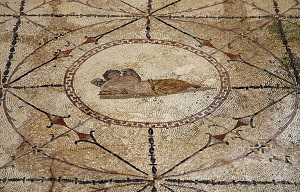 Turistička organizacija opštine Kotor Rimski mozaici Risan